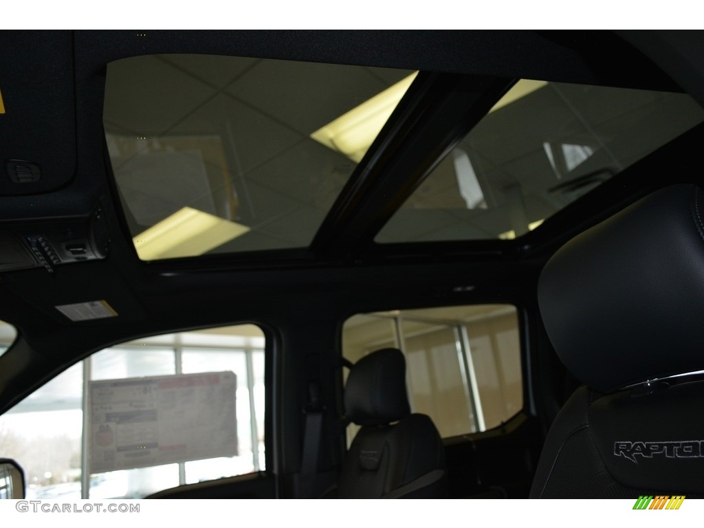 2017 Ford F150 SVT Raptor SuperCrew 4x4 Sunroof Photo #118492047