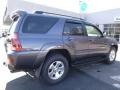 Galactic Gray Mica - 4Runner SR5 4x4 Photo No. 6