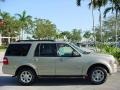Pueblo Gold Metallic - Expedition XLT Photo No. 2