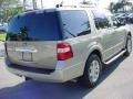 Pueblo Gold Metallic - Expedition XLT Photo No. 3
