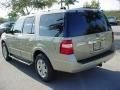 Pueblo Gold Metallic - Expedition XLT Photo No. 6