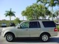 Pueblo Gold Metallic - Expedition XLT Photo No. 7