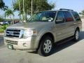 Pueblo Gold Metallic - Expedition XLT Photo No. 8