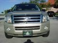 Pueblo Gold Metallic - Expedition XLT Photo No. 9