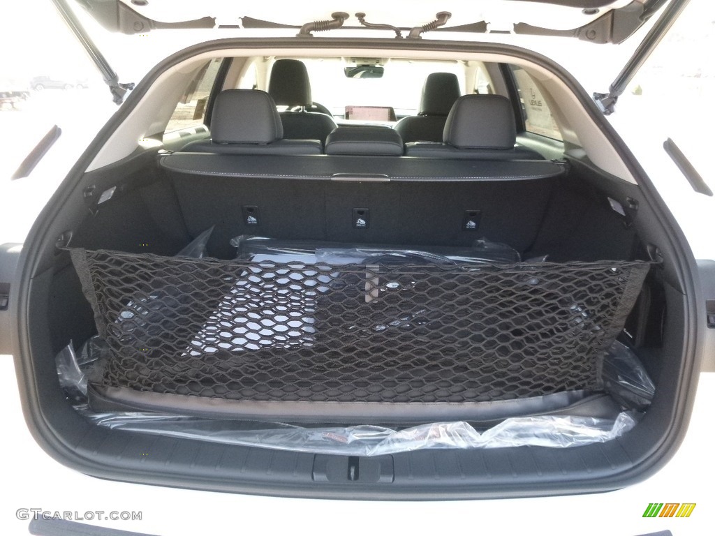 2017 Lexus RX 350 AWD Trunk Photo #118532296