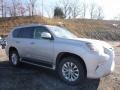 Silver Lining Metallic 2017 Lexus GX 460 Exterior