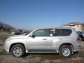 Silver Lining Metallic - GX 460 Photo No. 3