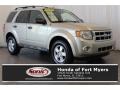 Gold Leaf Metallic 2010 Ford Escape XLT