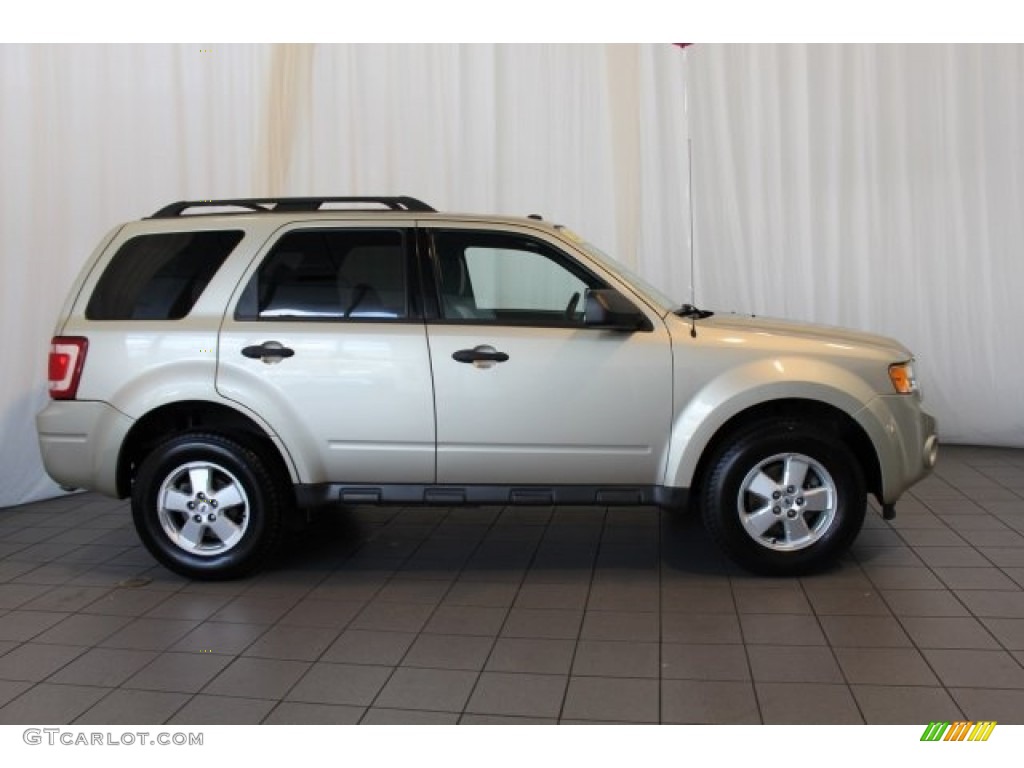 2010 Escape XLT - Gold Leaf Metallic / Charcoal Black photo #3