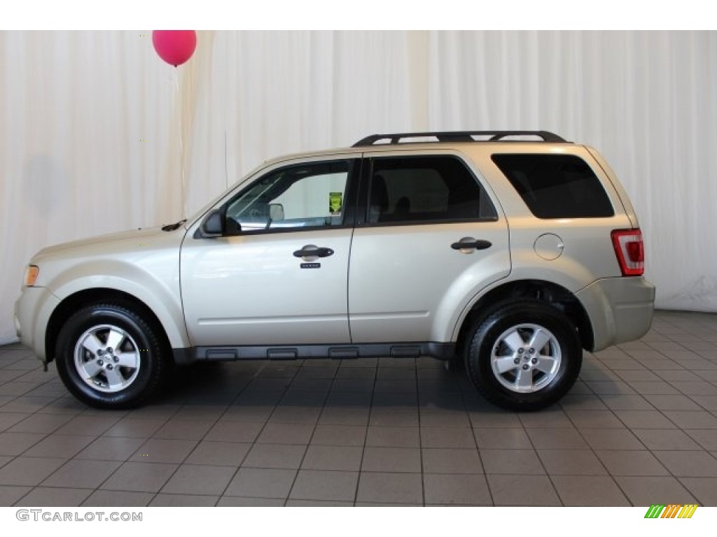 2010 Escape XLT - Gold Leaf Metallic / Charcoal Black photo #5