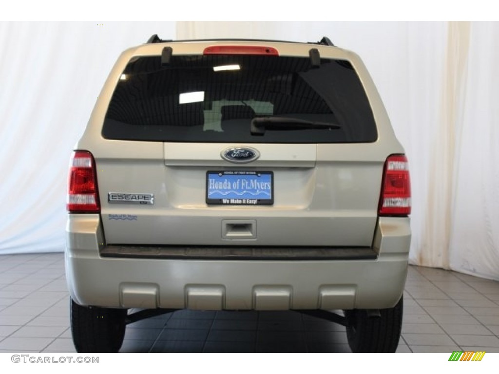2010 Escape XLT - Gold Leaf Metallic / Charcoal Black photo #7