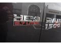 Granite Crystal Metallic - 1500 Express Crew Cab Photo No. 13