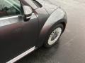 2013 Platinum Gray Metallic Volkswagen Beetle 2.5L Convertible  photo #25