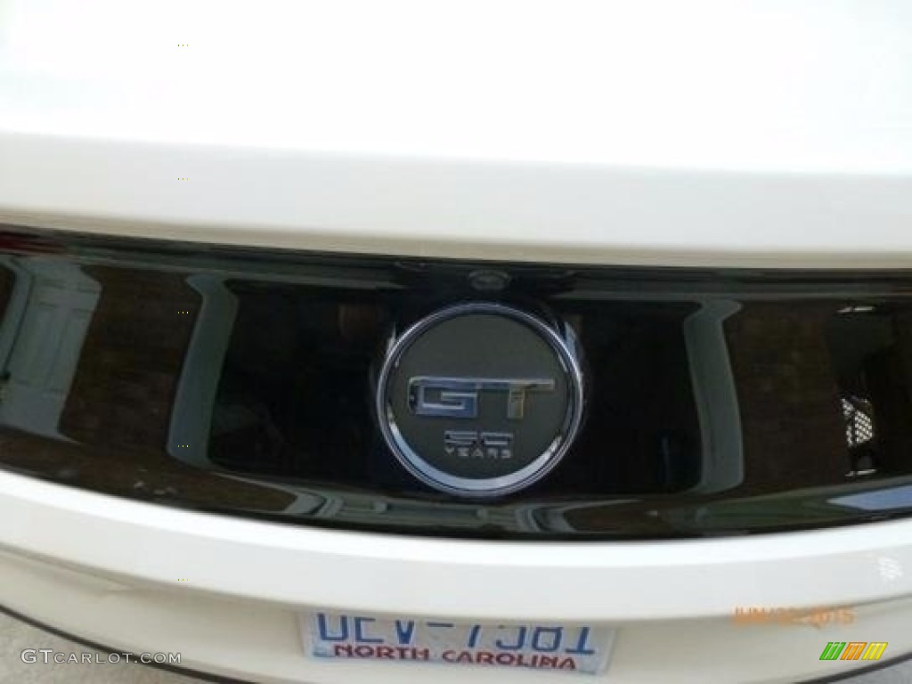 2015 Mustang 50th Anniversary GT Coupe - 50th Anniversary Wimbledon White / 50th Anniversary Cashmere photo #5