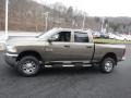 Prairie Pearl Coat - 2500 Tradesman Crew Cab 4x4 Photo No. 9