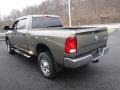 Prairie Pearl Coat - 2500 Tradesman Crew Cab 4x4 Photo No. 10