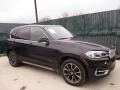 Black Sapphire Metallic - X5 xDrive35i Photo No. 1