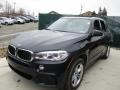 Carbon Black Metallic - X5 xDrive35i Photo No. 13