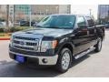 Tuxedo Black Metallic - F150 XLT SuperCrew Photo No. 3