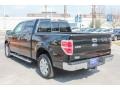 Tuxedo Black Metallic - F150 XLT SuperCrew Photo No. 5