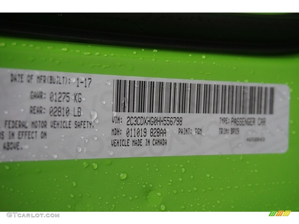 2017 Charger Color Code PGM for Green Go Photo #118598100