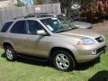 Mesa Beige Metallic - MDX  Photo No. 7