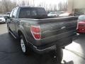 Sterling Gray Metallic - F150 Lariat SuperCrew 4x4 Photo No. 3