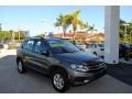 Pepper Gray Metallic - Tiguan S Photo No. 1