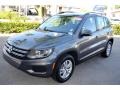 Pepper Gray Metallic - Tiguan S Photo No. 4