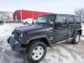 Rhino - Wrangler Unlimited Sport 4x4 Photo No. 1
