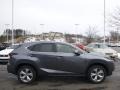 Nebula Gray Pearl - NX 200t AWD Photo No. 2