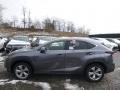 Nebula Gray Pearl - NX 200t AWD Photo No. 3