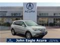 Billet Silver Metallic 2009 Acura MDX Technology