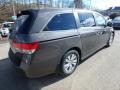 Smoky Topaz Metallic - Odyssey EX-L Photo No. 4