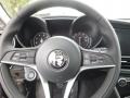Black Steering Wheel Photo for 2017 Alfa Romeo Giulia #118671081