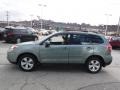 2015 Jasmine Green Metallic Subaru Forester 2.5i Premium  photo #7