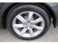 Graphite Luster Metallic - TL Technology Photo No. 33