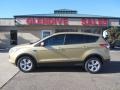 2015 Karat Gold Metallic Ford Escape SE 4WD  photo #7