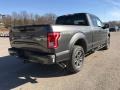 2017 Magnetic Ford F150 XLT SuperCab 4x4  photo #4