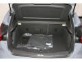 Charcoal Black Recaro Leather Trunk Photo for 2017 Ford Focus #118730874