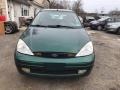 2001 Rainforest Green Metallic Ford Focus ZX3 Coupe  photo #9
