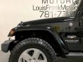 Black - Wrangler Unlimited Sahara 4x4 Photo No. 30