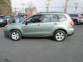 2015 Jasmine Green Metallic Subaru Forester 2.5i  photo #9