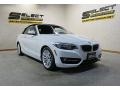 Alpine White - 2 Series 228i xDrive Convertible Photo No. 4