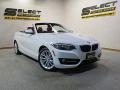 2016 Alpine White BMW 2 Series 228i xDrive Convertible  photo #8