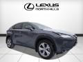 Nebula Gray Pearl - NX 200t AWD Photo No. 1