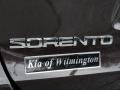 Polished Walnut - Sorento EX Photo No. 30