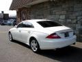 2006 Alabaster White Mercedes-Benz CLS 500  photo #10