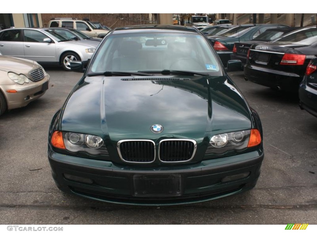 2001 3 Series 325i Sedan - Fern Green Metallic / Grey photo #2