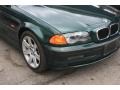 2001 Fern Green Metallic BMW 3 Series 325i Sedan  photo #4